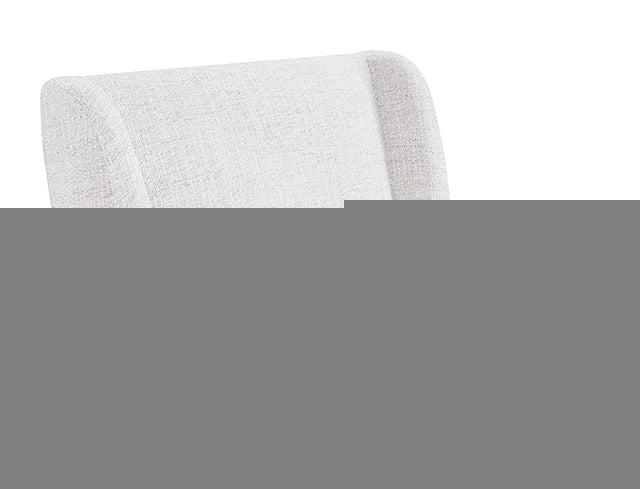 Fede Dining Side Chair (1/CTN)